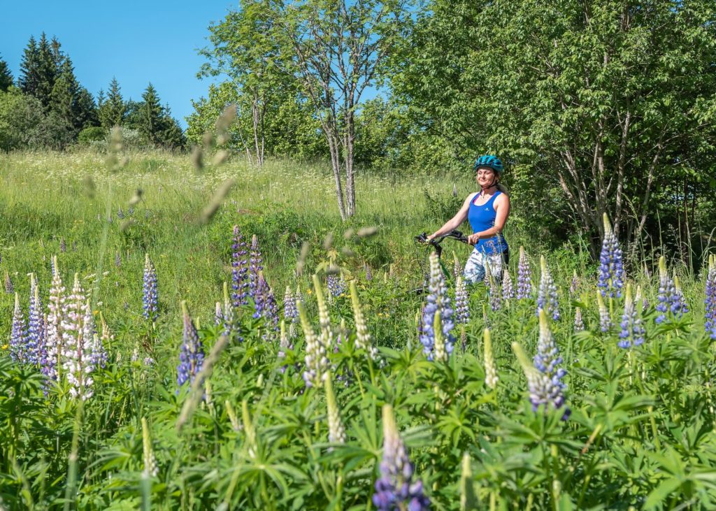 Activités outdoor sportives dans les Vosges : que faire à Gérardmer