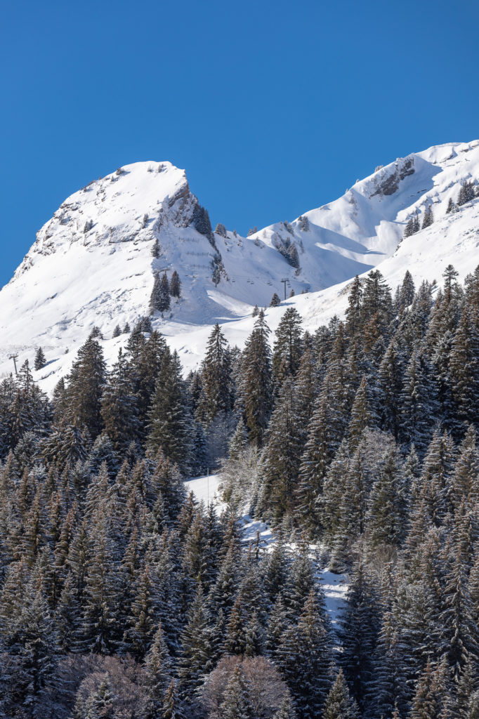 rando raquettes chamois mouflons les gets 