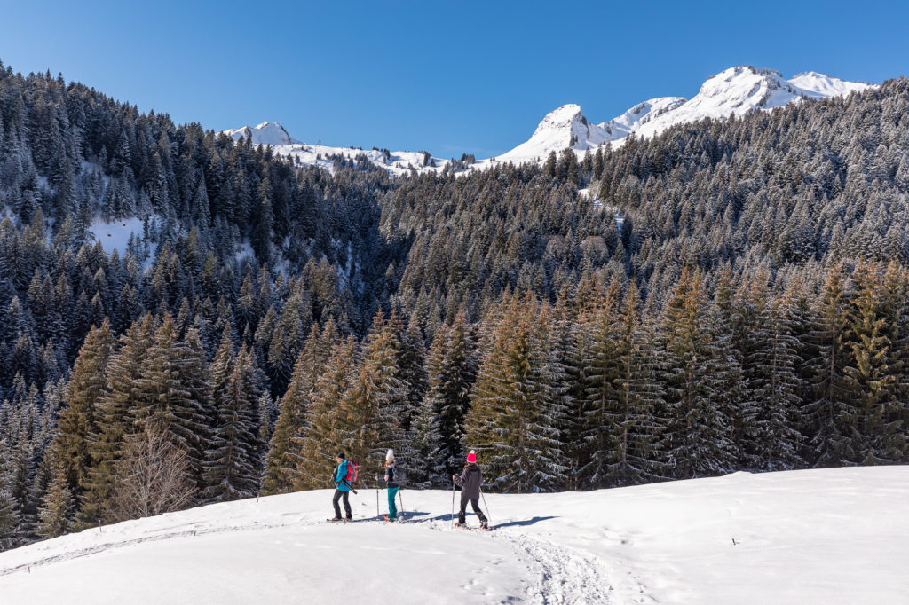 rando raquettes mouflons chamois