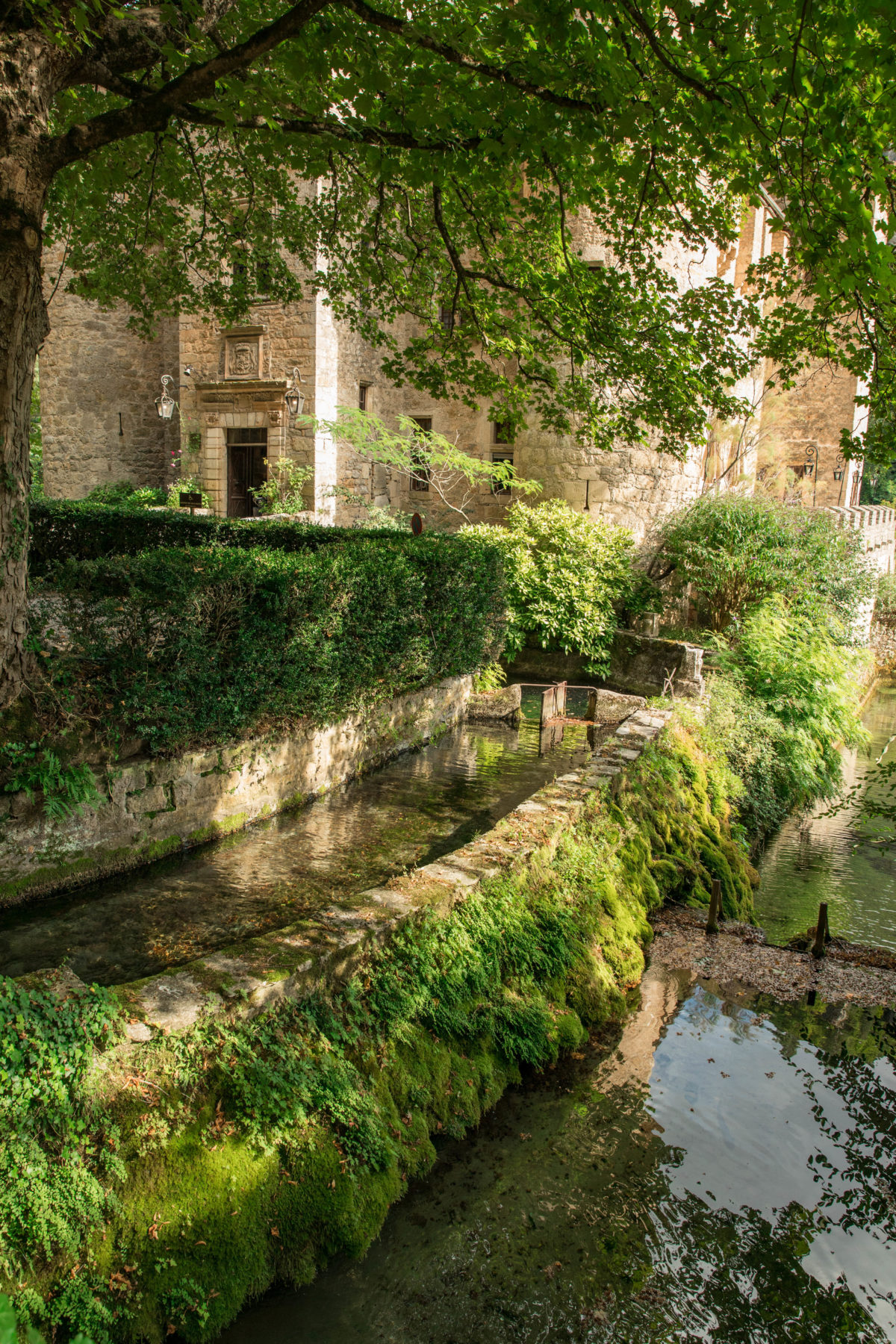 Découvrez les somptueuses Gorges du Tarn et toutes leurs activités incontournables.