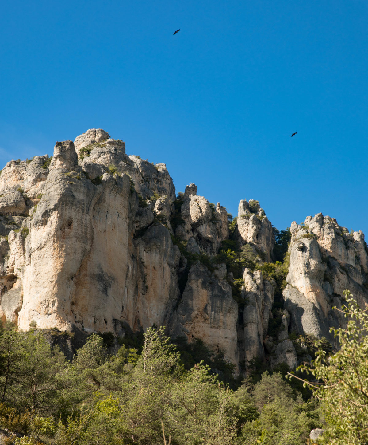 Découvrez les somptueuses Gorges du Tarn et toutes leurs activités incontournables.