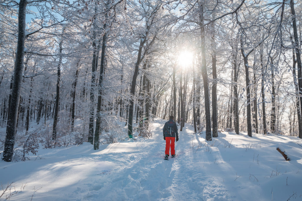 Que voir et que faire dans le Vercors drômois ? Vercors en hiver, randonnées raquettes