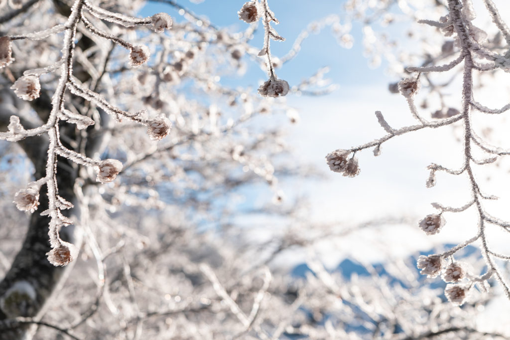 Que voir et que faire dans le Vercors drômois ? Vercors en hiver, randonnées raquettes