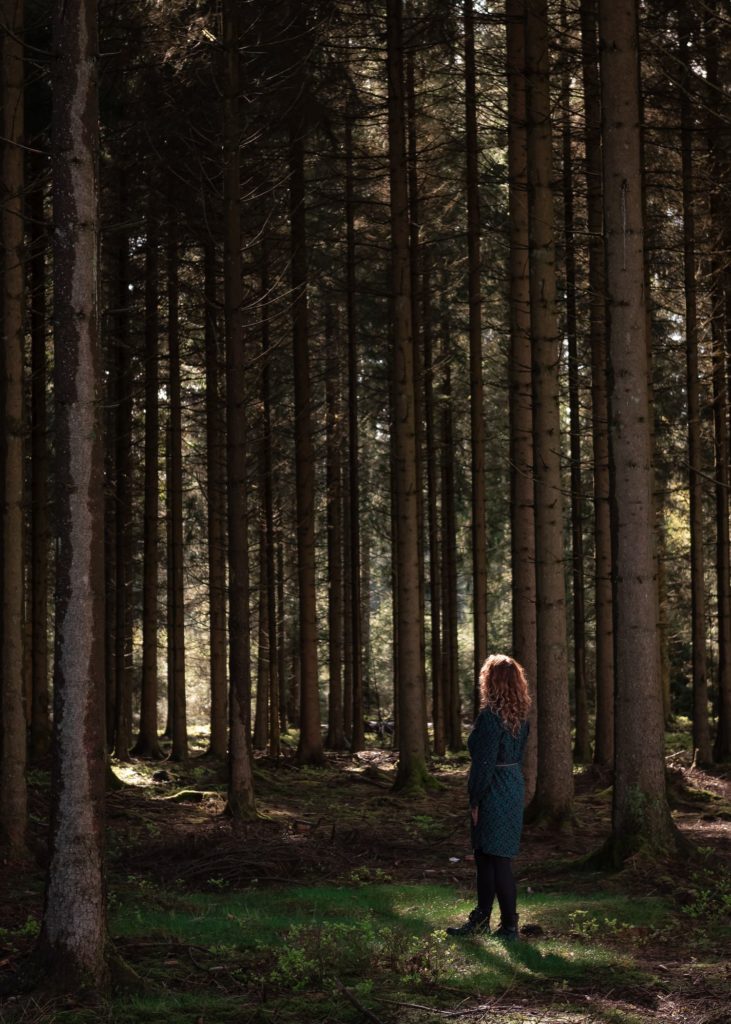 que faire en ardenne belge ? rando vélo activités dans la grande forêt de saint hubert