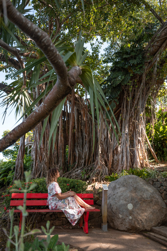 Que voir en Guadeloupe ? Road trip avec mes incontournables de Guadeloupe