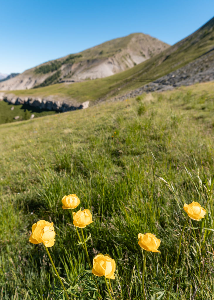 Randonnée à Colmars les Alpes dans le Haut Verdon : autour du refuge de Congerman