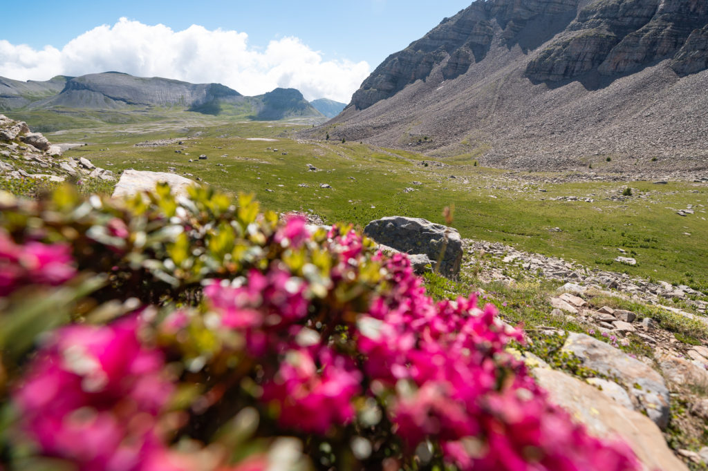 Randonnée à Colmars les Alpes dans le Haut Verdon : autour du refuge de Congerman