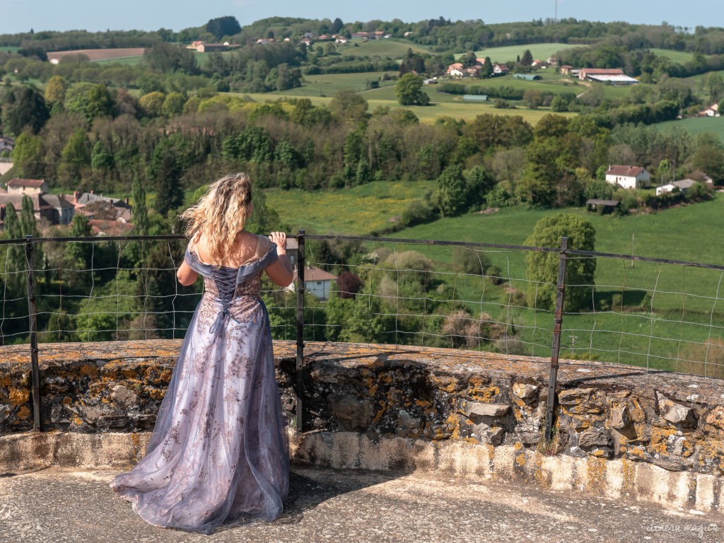 Blog sur la Haute Vienne : châteaux de richard coeur de lion 