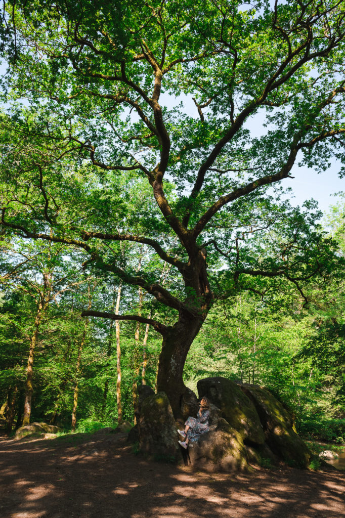 Que voir et que faire dans le Limousin, entre Creuse et Haute Vienne ? Le site Corot à Saint Junien