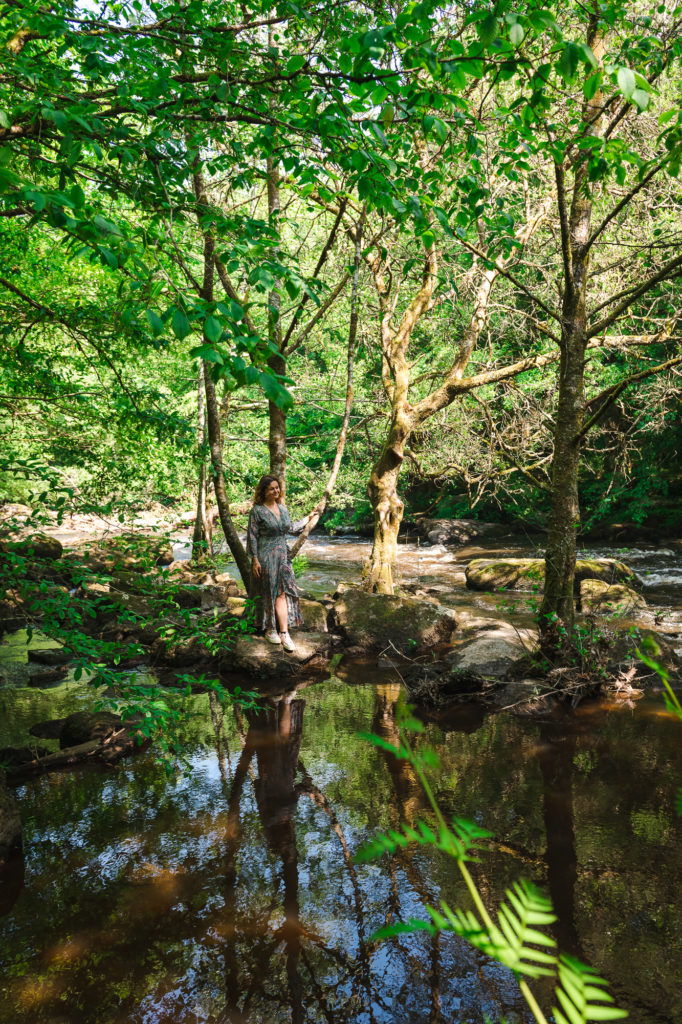 Que voir et que faire dans le Limousin, entre Creuse et Haute Vienne ? Le site Corot à Saint Junien