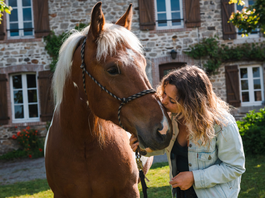 Que voir et que faire dans le Limousin, entre Creuse et Haute Vienne ? Les monts du Limousin