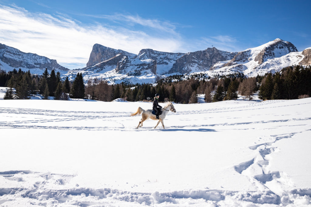 Promenade à cheval en hiver dans la neige dans le dévoluy