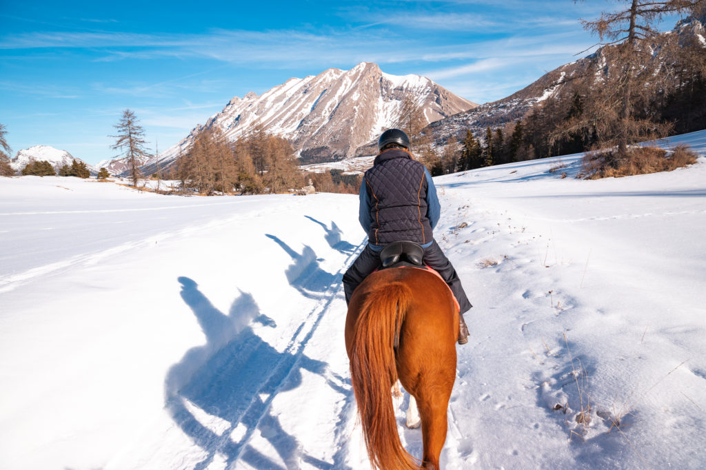 Promenade à cheval en hiver dans la neige dans le dévoluy