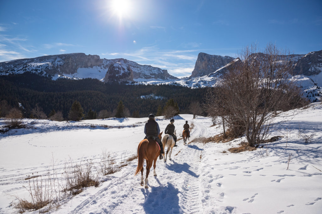 Promenade à cheval en hiver dans la neige dans le dévoluy