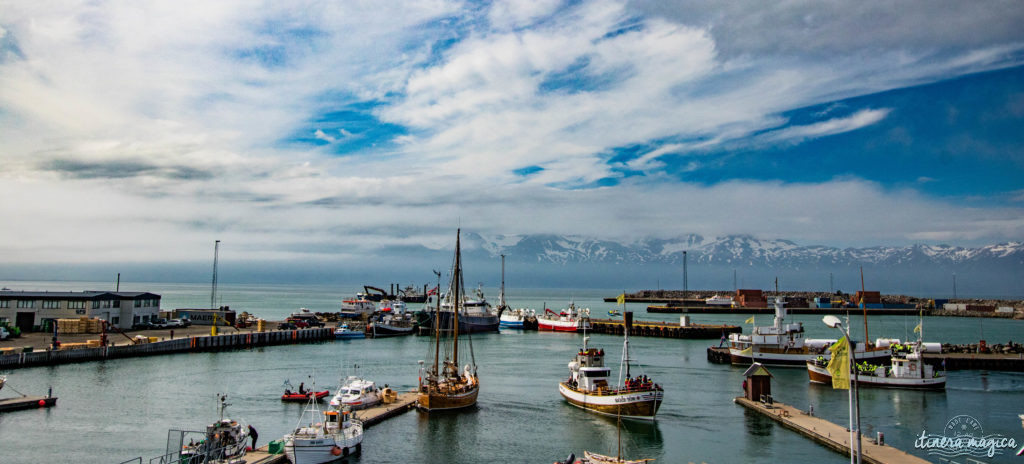 Islande et Açores : les soeurs secrètes. Découvrez les ressemblances entre ces îles de feu, situées sur la même dorsale atlantique.