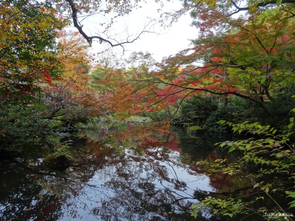 Où voir les couleurs d'automne, en Europe, au Japon, au Québec et ailleurs ? Les plus belles couleurs de l'automne par les blogueurs de voyage, pour des voyages chatoyants. #automne 