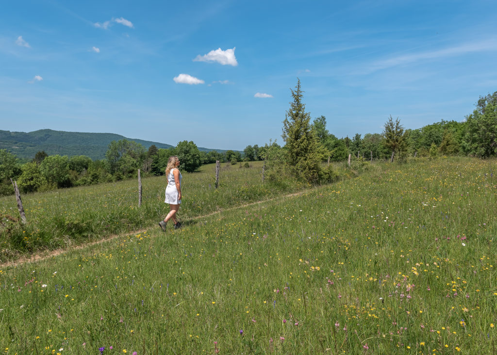 Que voir et que faire dans le Jura ? Blog sur un séjour autour des lacs du Haut Jura