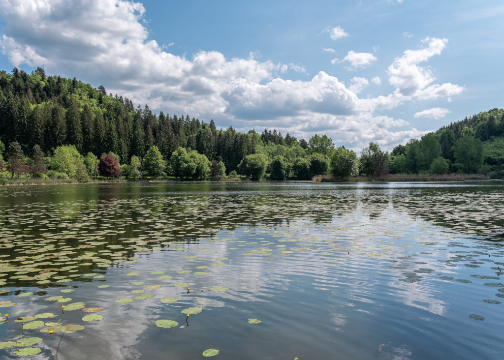 Que voir et que faire dans le Jura ? Blog sur un séjour autour des lacs du Haut Jura