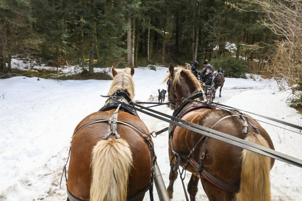 Sauvons les petites stations de ski : plaidoyer en faveur des enneigeurs et des hélicos.