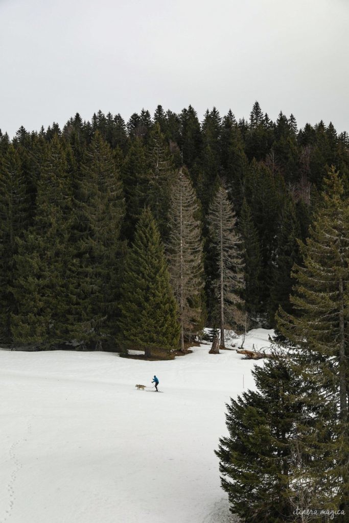 stations de ski familiales dans les montagnes françaises