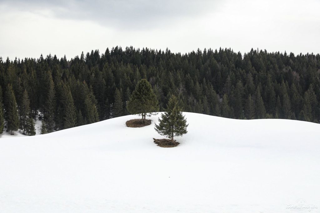 massif du jura en hiver