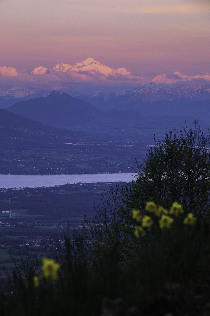 vue mont blanc pays de gex