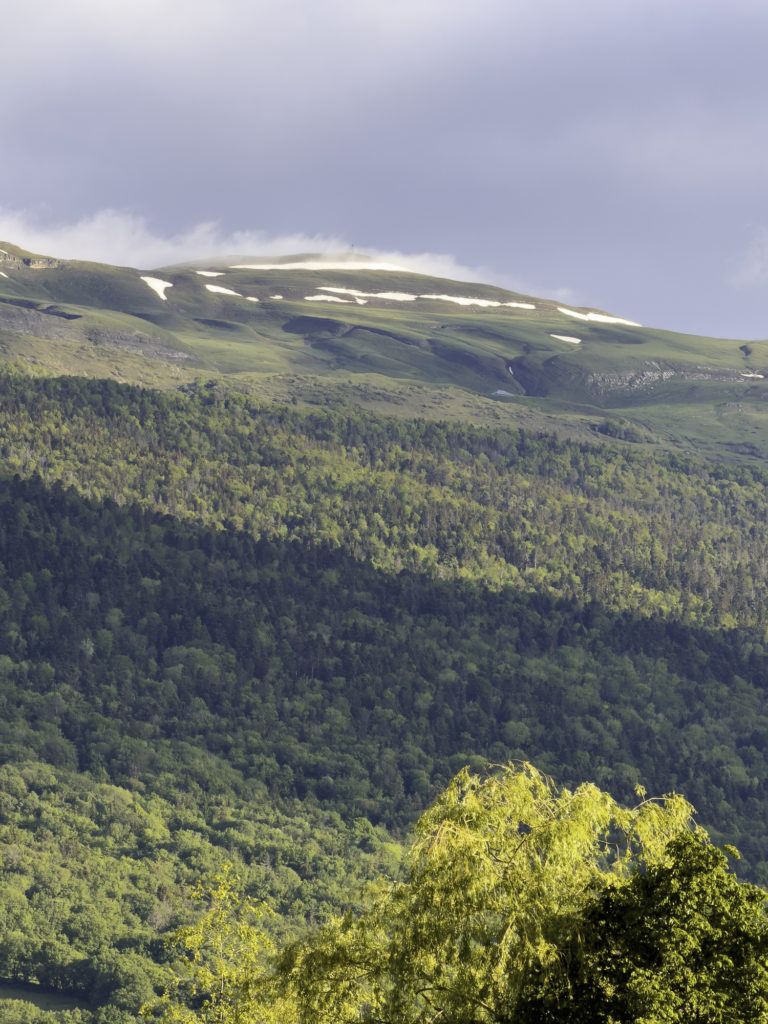 bonnes adresses  pays de Gex jiva jiva hill resort luxe cinq etoiles