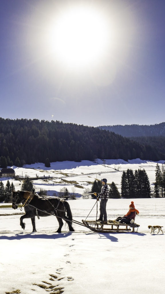 monts jura chevaux pays de gex