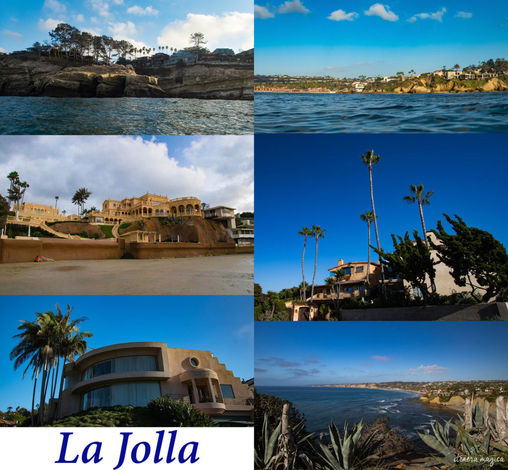 Voyage à San Diego : ne manquez pas La Jolla ! Jouer avec les otaries en toute liberté, faire du kayak au milieu des phoques… une destination californienne nature !