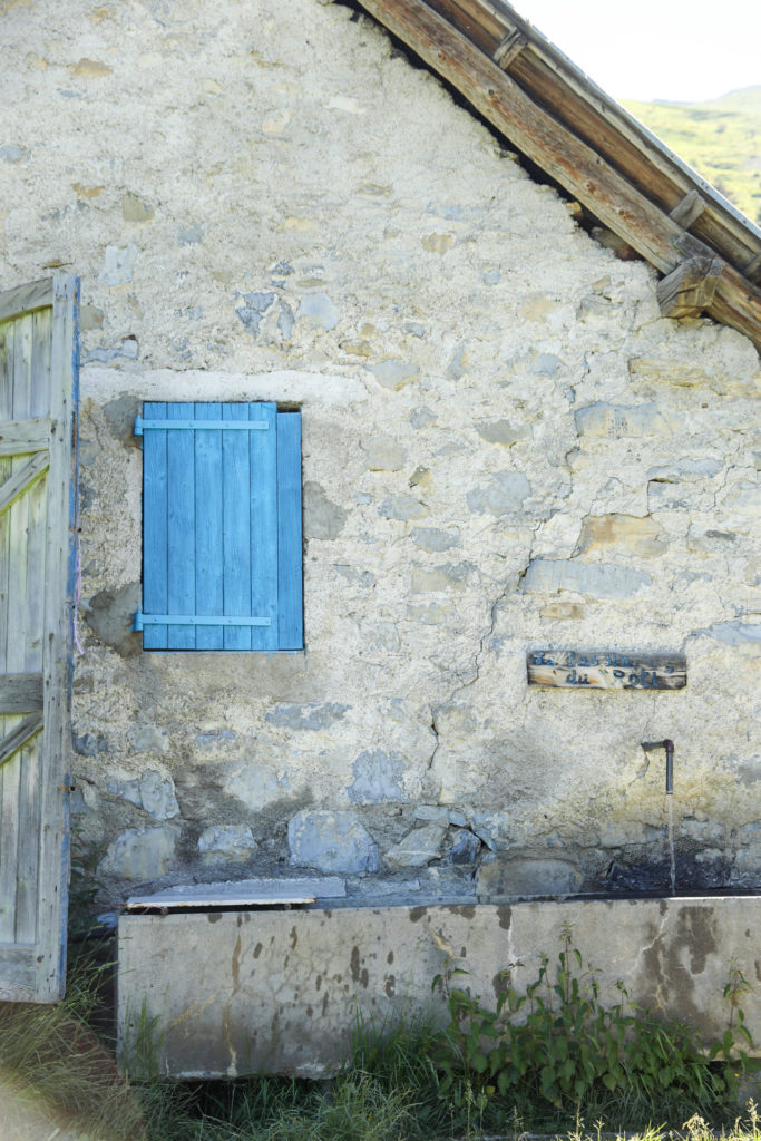 transhumances bergers alpes de haute provence