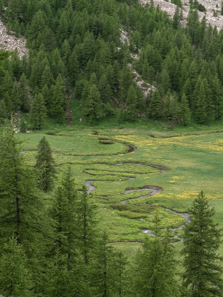 lac d allos alpes de haute provence