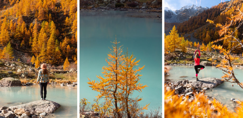 Une randonnée dans le parc national des Ecrins : le lac glaciaire d'Arsine, le réou d'Arsine et le lac de la Douche.