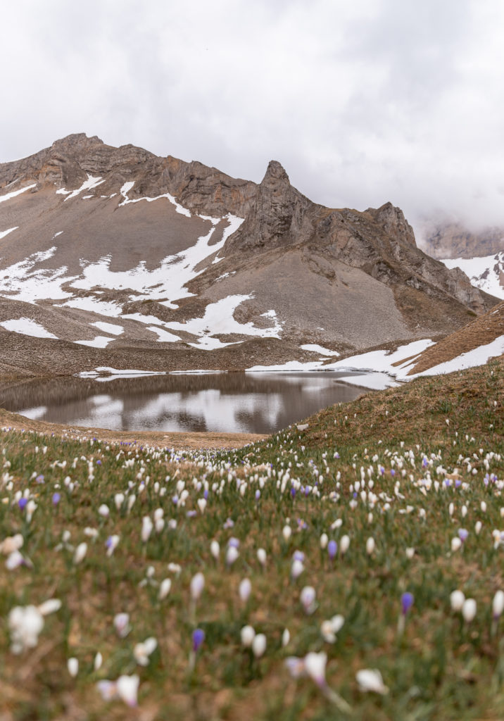 randonnée au lac du lauzon drôme vallon de la jarjatte