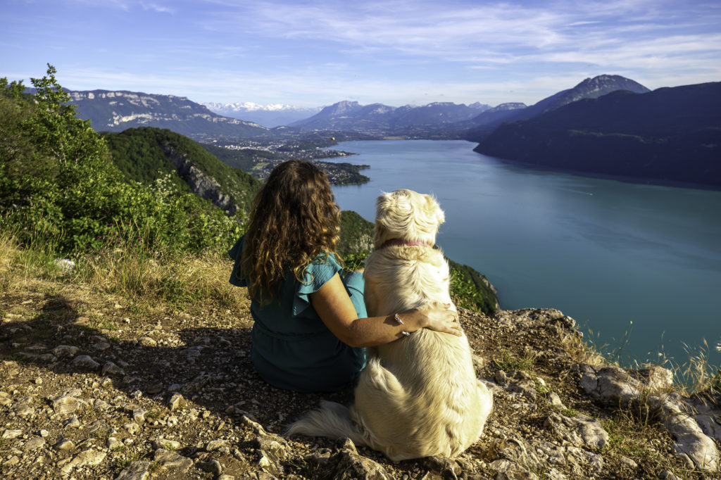 Visiter le lac du Bourget avec mon chien, un superbe séjour entre plage et montagne avec Gîtes de France Savoie