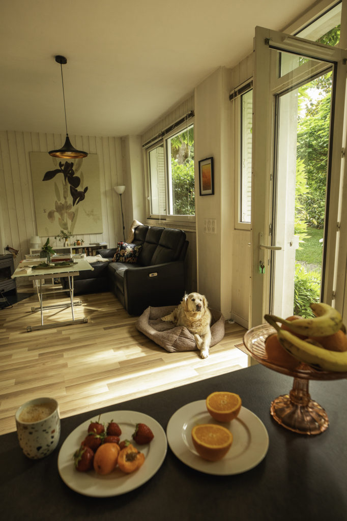gîtes de france savoie avec mon chien
