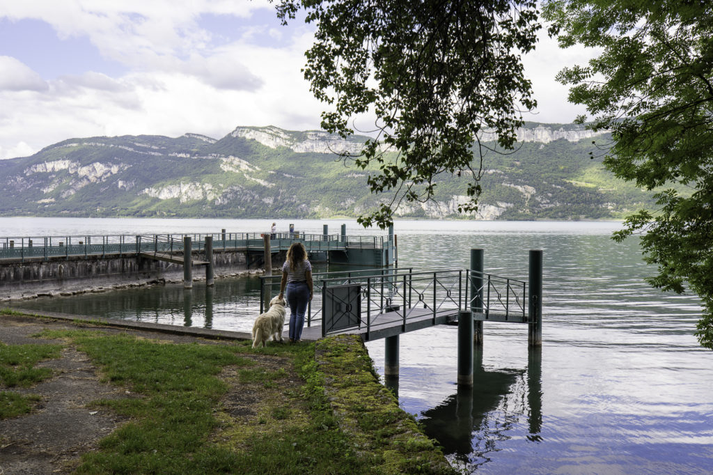 visiter l'abbaye de hautecombe avec mon chien au lac du bourget en savoie