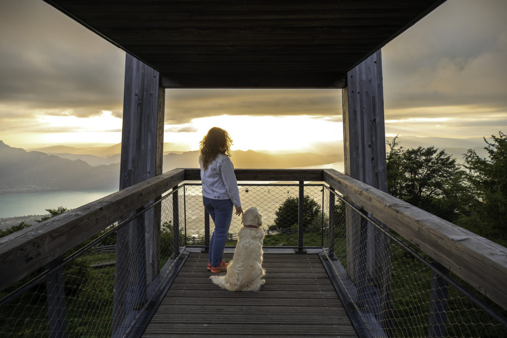 lac du bourget avec mon chien belvedere revard
