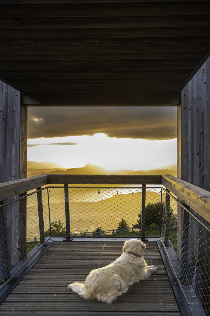 lac du bourget avec mon chien belvedere revard