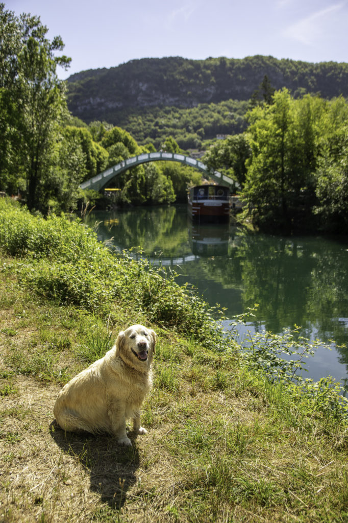 visiter chanaz avec son chien savoie