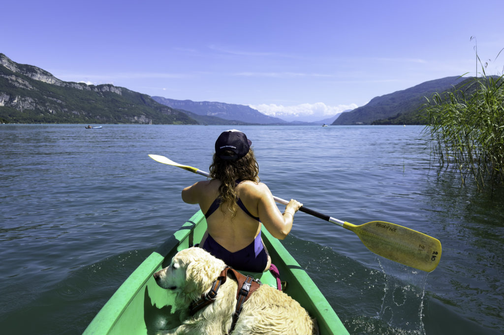 kayak avec son chien lac du bourget savoie