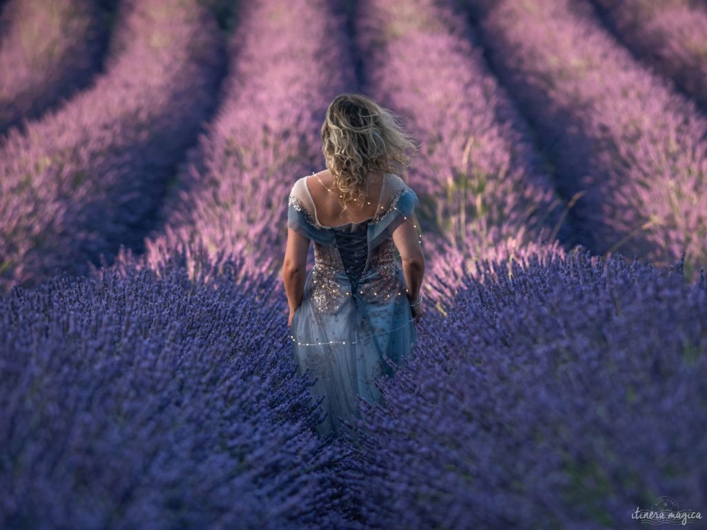 Weniger bekannte, geheime Lavendelfelder in der Provence