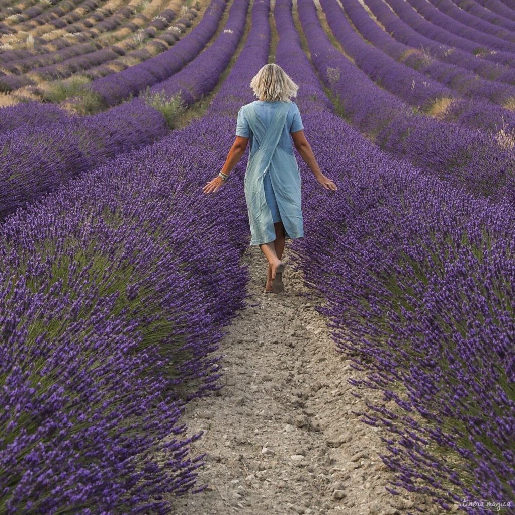 Must see in Provence: the best places to see in Provence, natural wonders of Provence