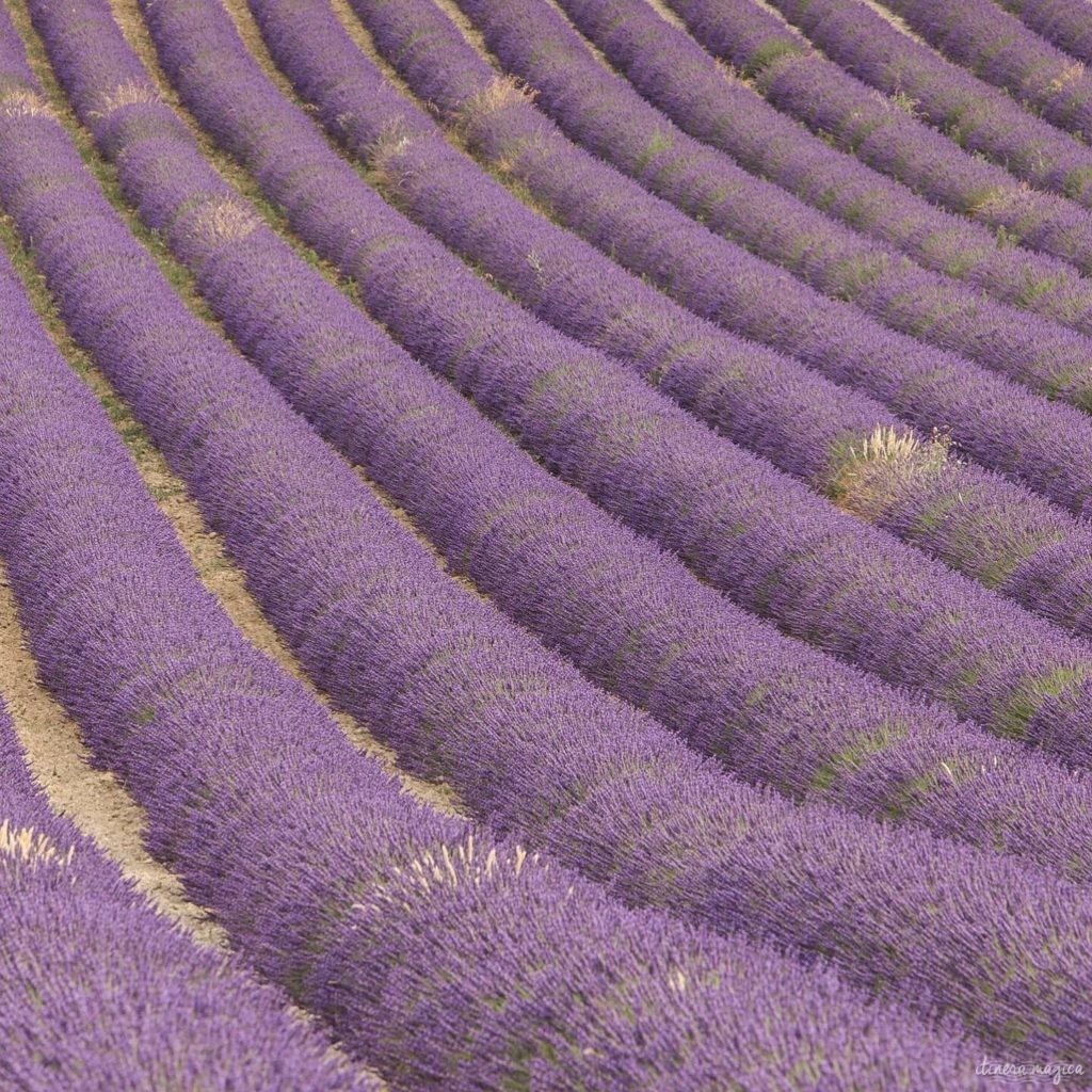 Must see in Provence: the best places to see in Provence, natural wonders of Provence