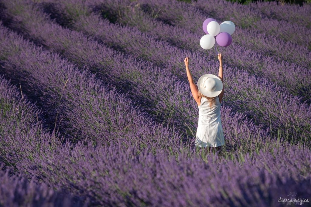 Weniger bekannte, geheime Lavendelfelder in der Provence