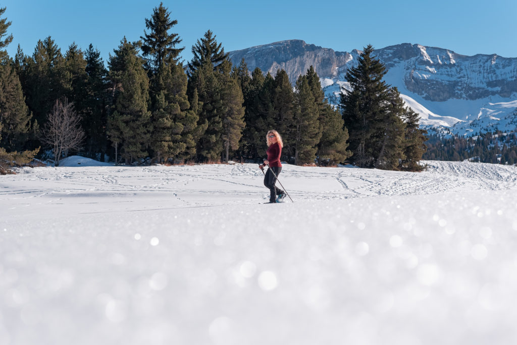 Séjour d'hiver dans Le Dévoluy : ski, randonnée, raquettes, cheval, via souterrata, bonnes adresses. Que faire, que voir au ski dans Le Dévoluy ?