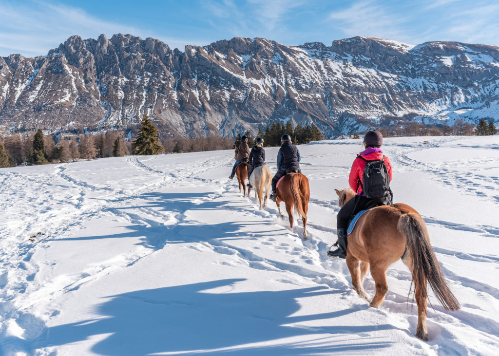 Promenade à cheval en hiver dans la neige dans le dévoluy