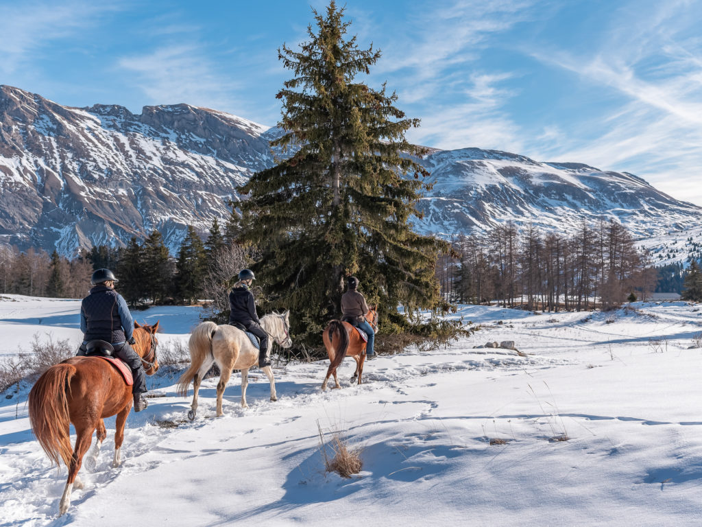 Promenade à cheval en hiver dans la neige dans le dévoluy