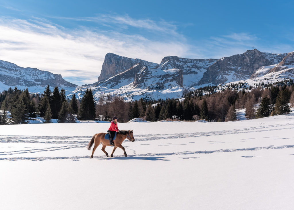 Promenade à cheval en hiver dans la neige dans le dévoluy