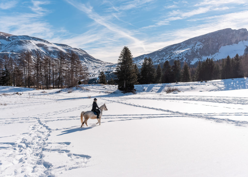 Promenade à cheval en hiver dans la neige dans le dévoluy