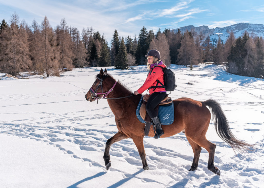 Promenade à cheval en hiver dans la neige dans le dévoluy